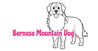 伯恩山犬简笔画涂色页