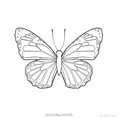 斑点翅膀蝴蝶 简笔画 素描 涂鸦 - 免费可打印 蝴蝶简笔画 下载PDF – 免费可打印简笔画涂色画