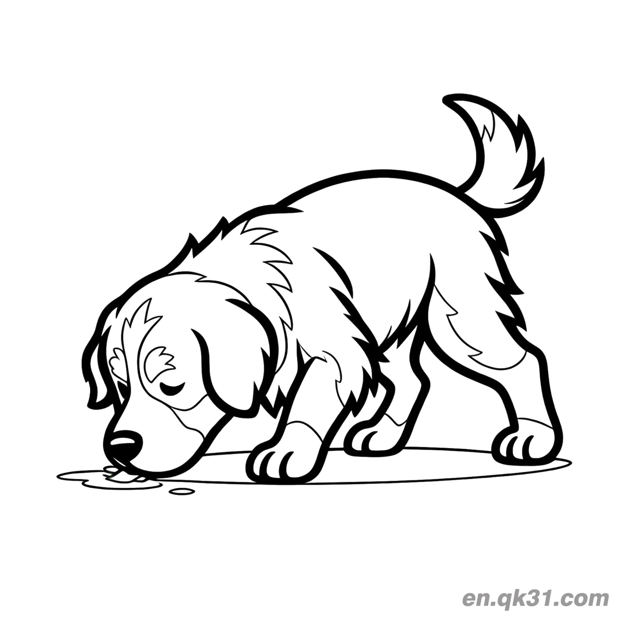 免费 伯恩山犬嗅地简笔画涂色页 简笔画涂色页
