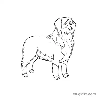 优雅的侧站伯恩山犬简笔画涂色页 – 免费可打印简笔画涂色画