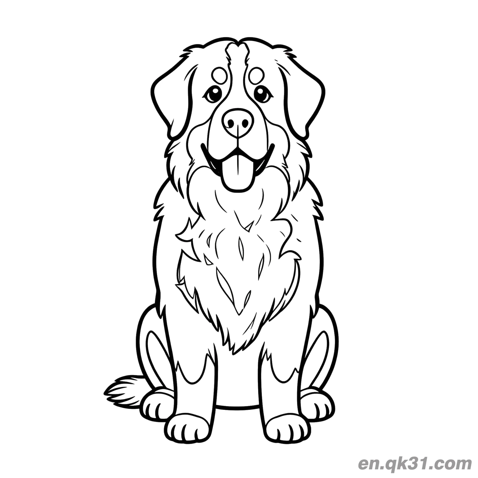 免费 正面坐姿长毛伯恩山犬简笔画涂色页 简笔画涂色页