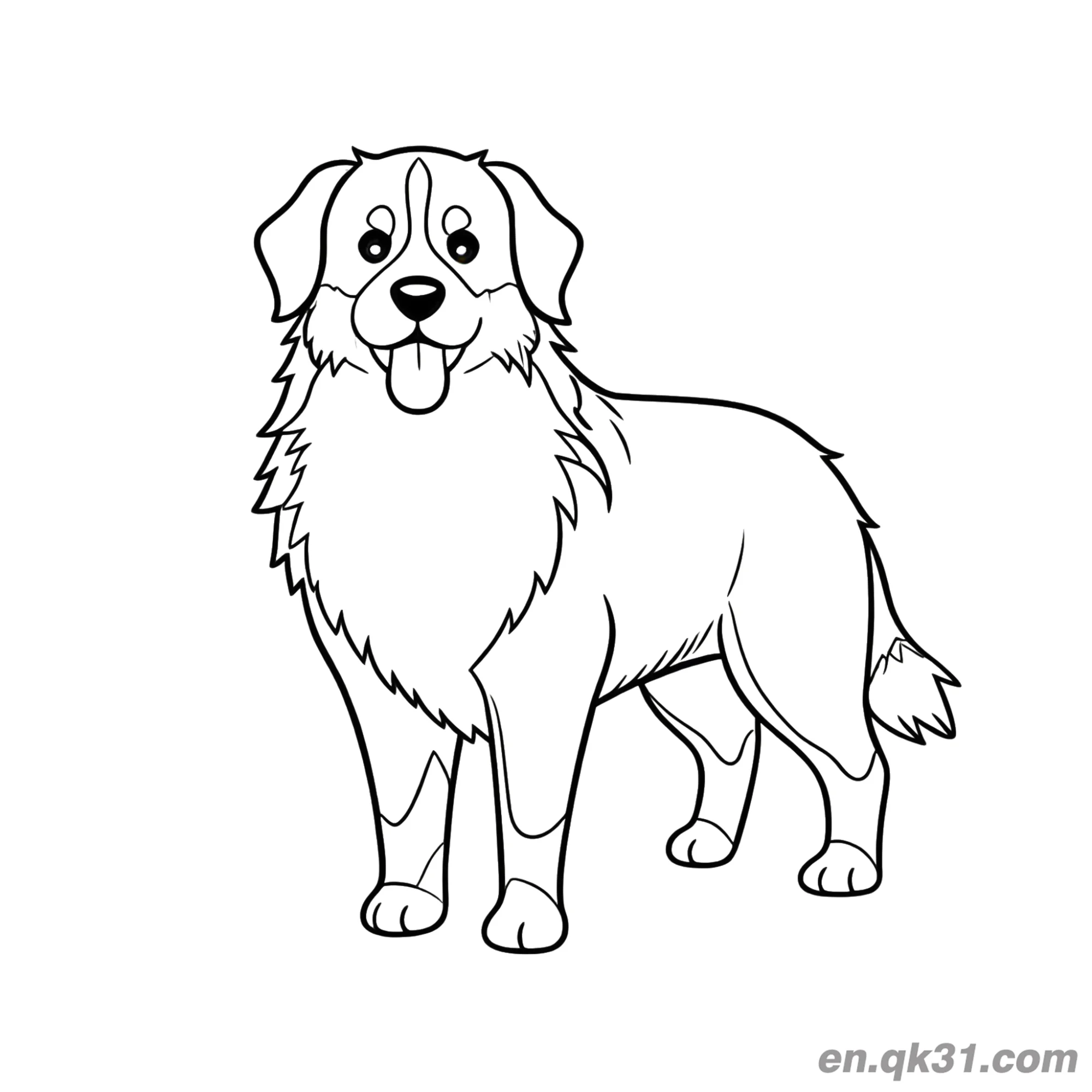 免费 正面站姿吐舌头伯恩山犬简笔画涂色页 简笔画涂色页