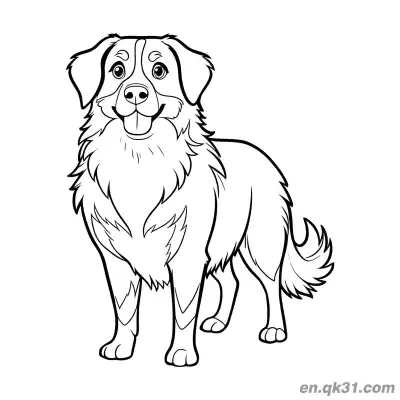 正面站姿长毛伯恩山犬简笔画涂色页 – 免费可打印简笔画涂色画