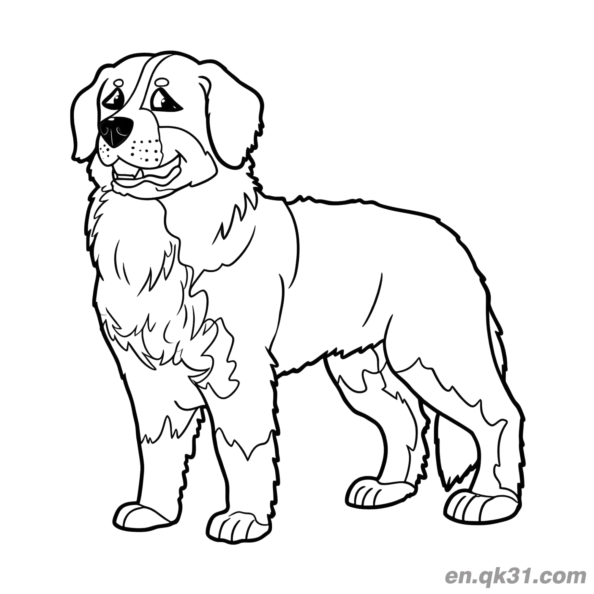 免费 微笑站姿伯恩山犬简笔画涂色页 简笔画涂色页