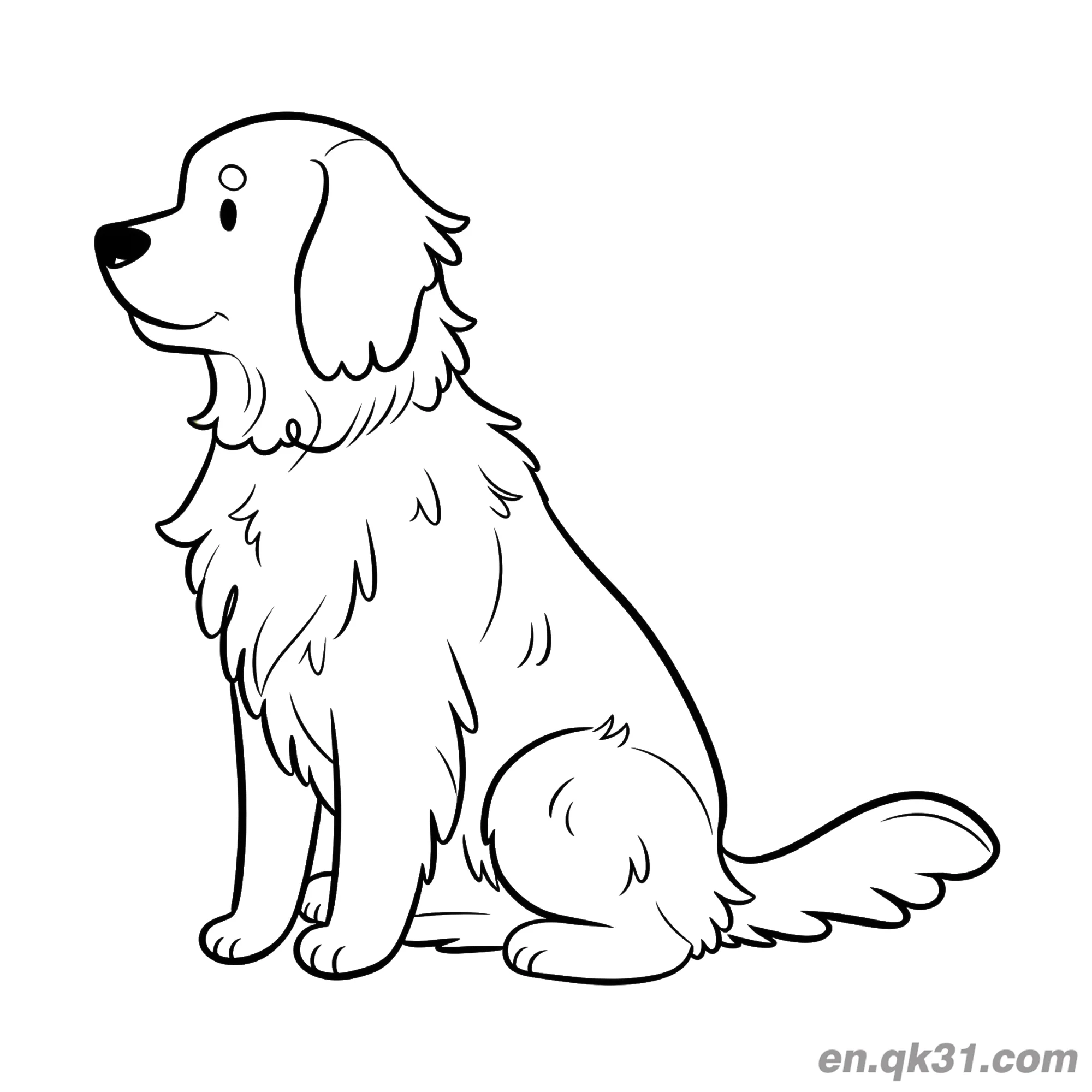 免费 金毛寻回犬简笔画涂色页可打印狗纸 简笔画涂色页