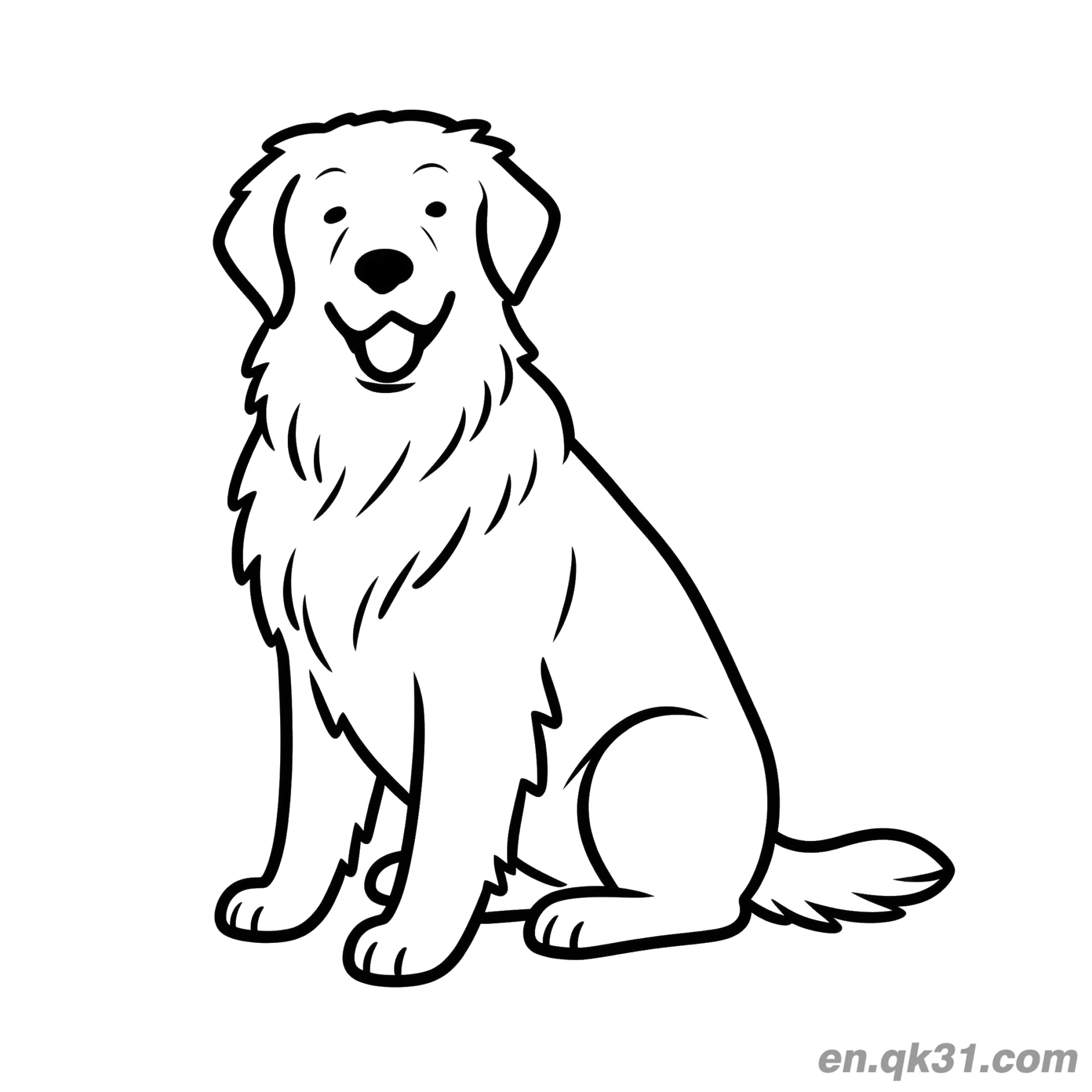 免费 金毛寻回犬狗简笔画涂色页可打印书 简笔画涂色页