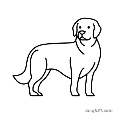 极简线条艺术金毛寻回犬侧面简笔画涂色页 – 免费可打印简笔画涂色画