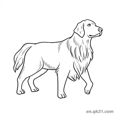 行走的侧面金毛寻回犬极简轮廓简笔画涂色页 – 免费可打印简笔画涂色画