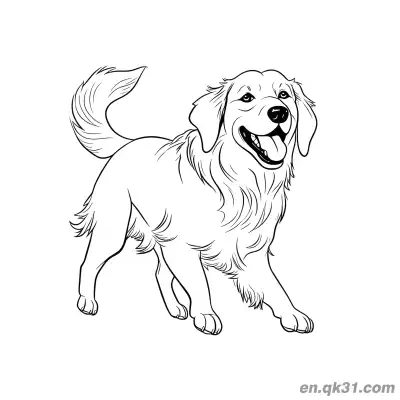 行走的微笑的金毛寻回犬舒适风格简笔画涂色页 – 免费可打印简笔画涂色画