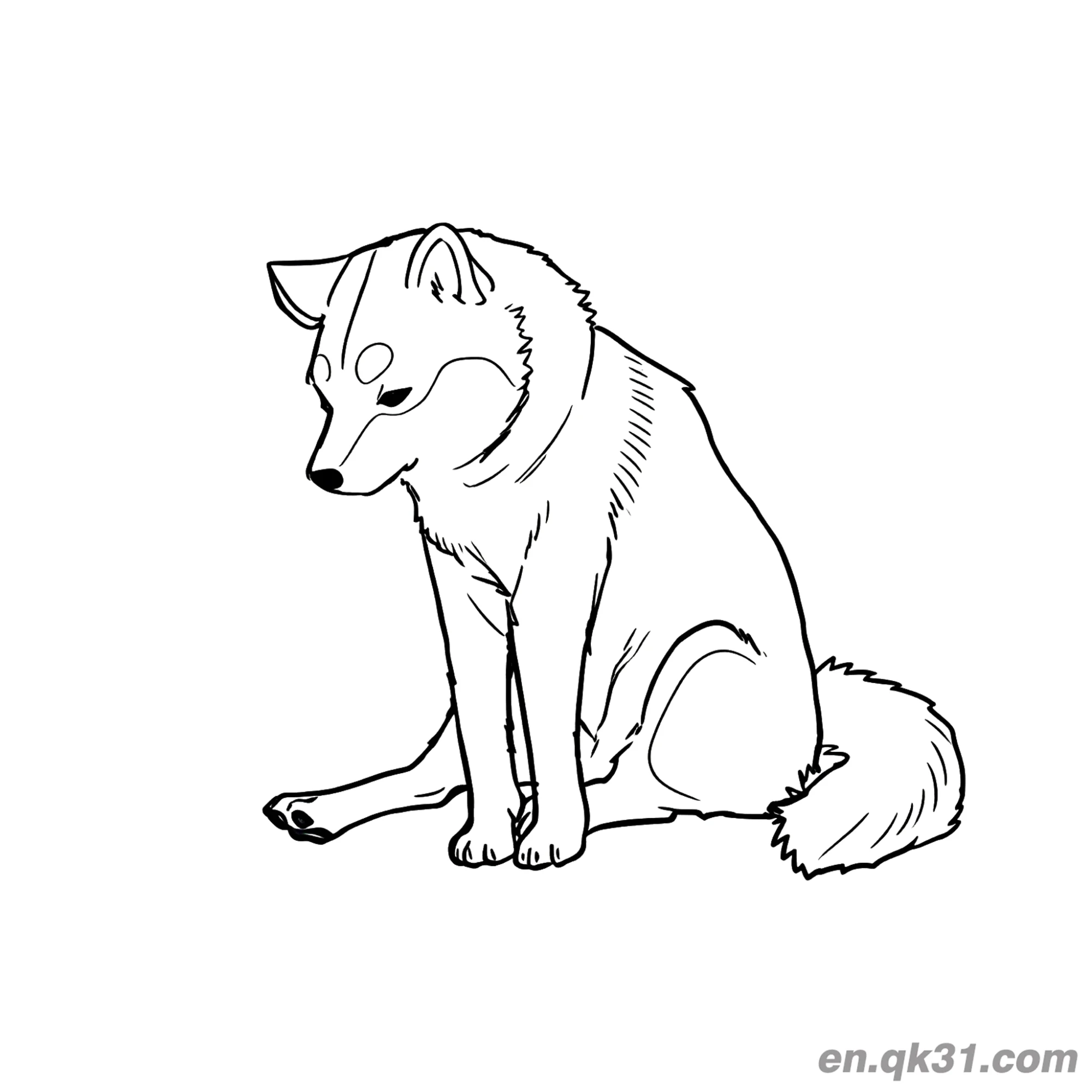 免费 写实柴犬低头沉思简笔画涂色页 简笔画涂色页