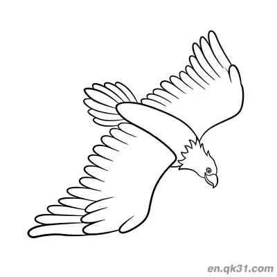 俯冲飞行秃鹰涂色页 – 免费可打印简笔画涂色画