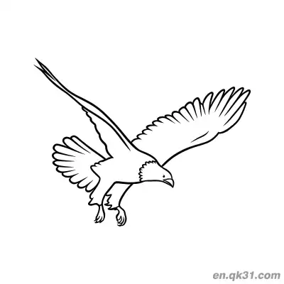 长翼老鹰滑翔涂色页 – 免费可打印简笔画涂色画