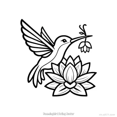 蜂鸟吃花蜜 3简笔画 素描 涂鸦 - 免费可打印 蜂鸟简笔画 下载PDF – 免费可打印简笔画涂色画