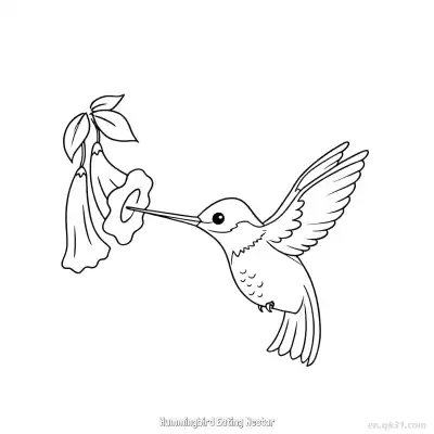 蜂鸟吃花蜜 7简笔画 素描 涂鸦 - 免费可打印 蜂鸟简笔画 下载PDF – 免费可打印简笔画涂色画