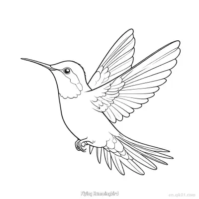 飞翔的蜂鸟 1简笔画 素描 涂鸦 - 免费可打印 蜂鸟简笔画 下载PDF – 免费可打印简笔画涂色画