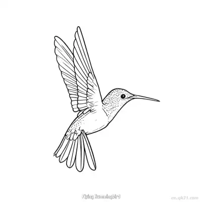 飞翔的蜂鸟 2简笔画 素描 涂鸦 - 免费可打印 蜂鸟简笔画 下载PDF – 免费可打印简笔画涂色画