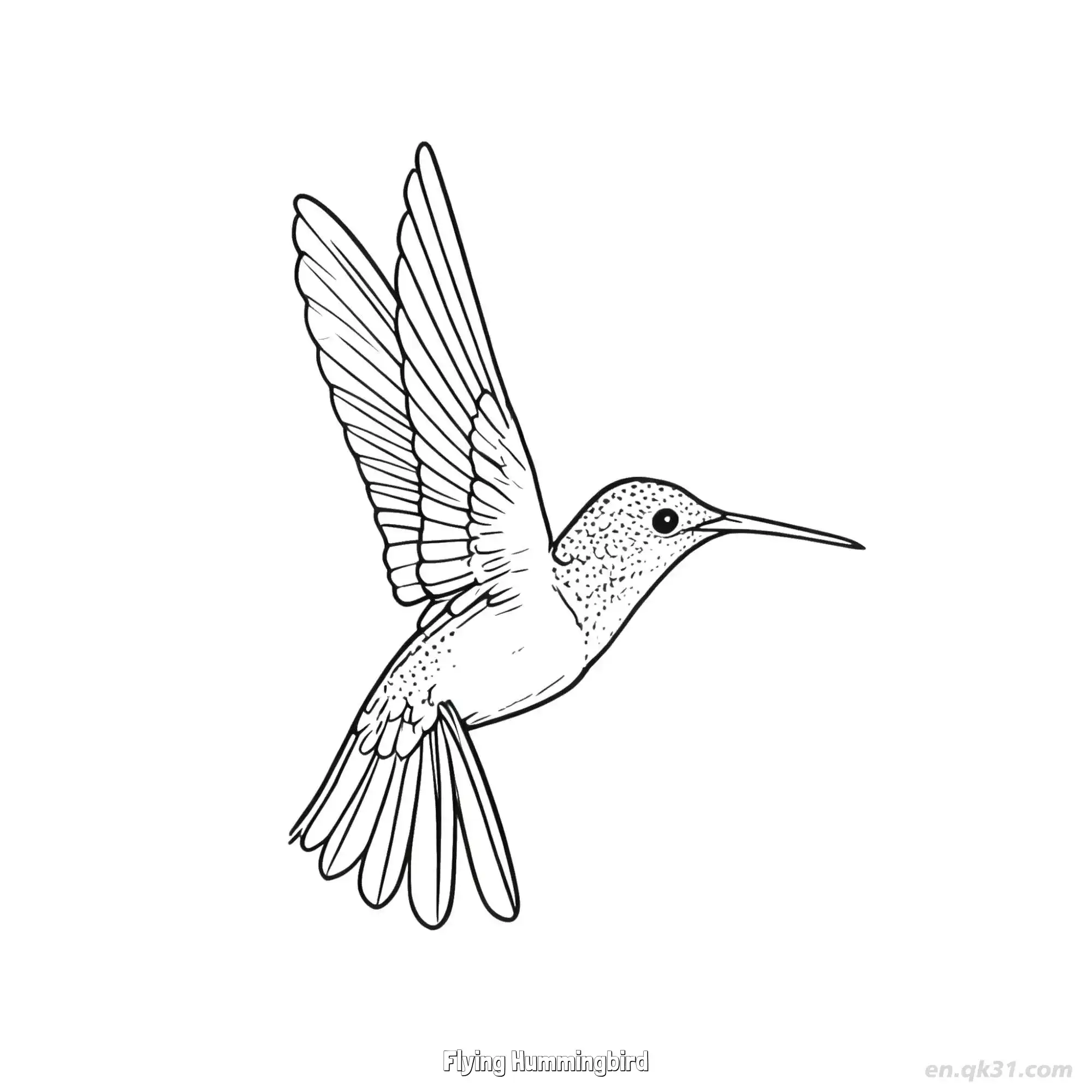 免费 飞翔的蜂鸟 2简笔画 素描 涂鸦 - 免费可打印 蜂鸟简笔画 下载PDF 简笔画涂色页