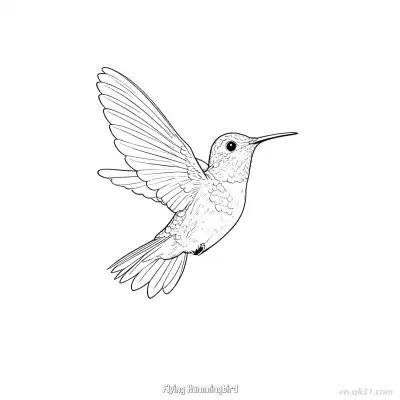 飞翔的蜂鸟 3简笔画 素描 涂鸦 - 免费可打印 蜂鸟简笔画 下载PDF – 免费可打印简笔画涂色画