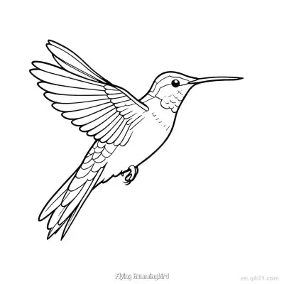 飞翔的蜂鸟 4简笔画 素描 涂鸦 - 免费可打印 蜂鸟简笔画 下载PDF – 免费可打印简笔画涂色画