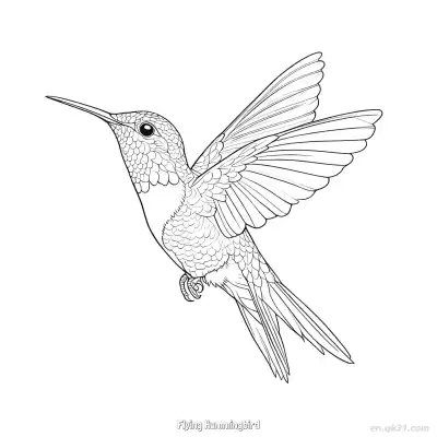 飞翔的蜂鸟 5简笔画 素描 涂鸦 - 免费可打印 蜂鸟简笔画 下载PDF – 免费可打印简笔画涂色画