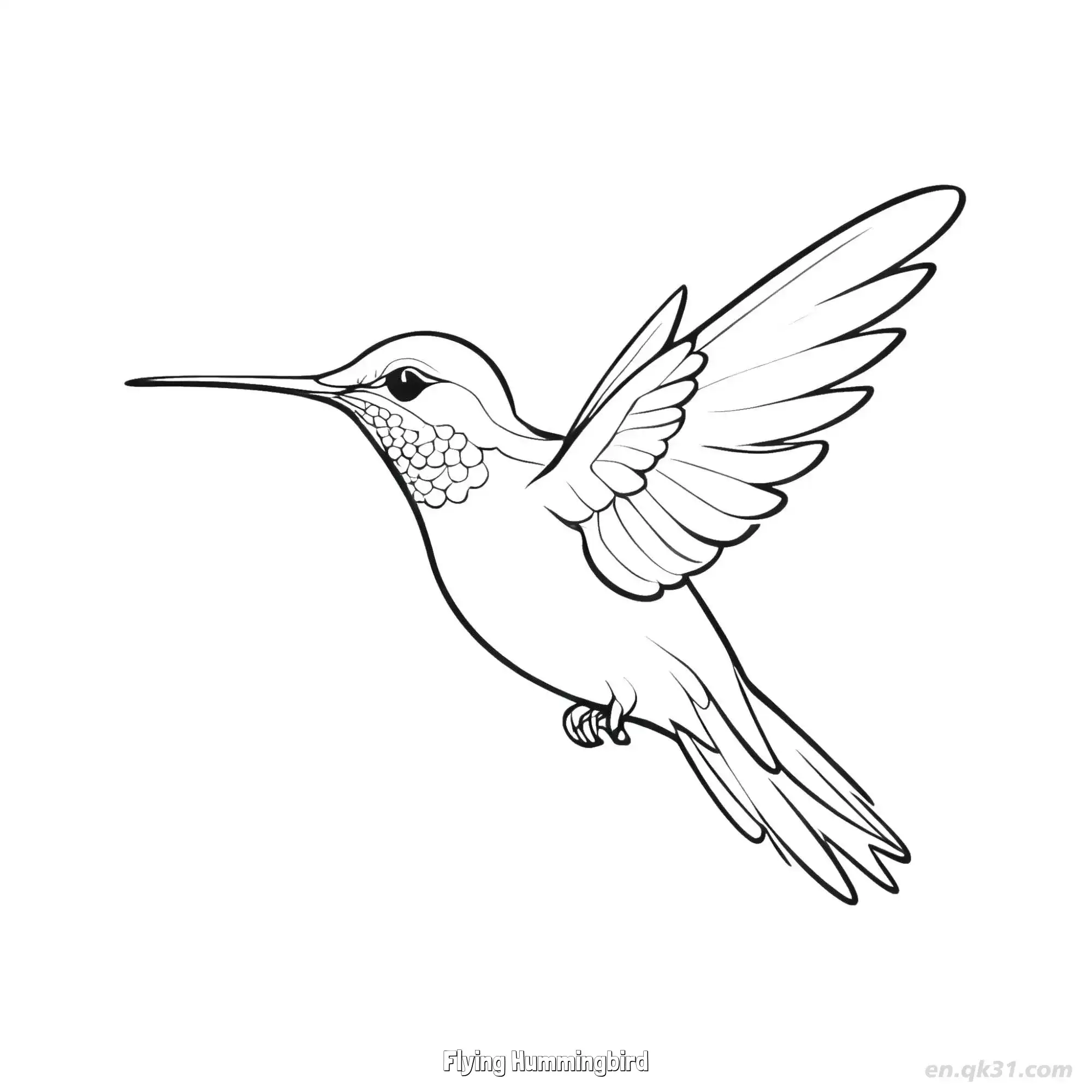 免费 飞翔的蜂鸟 6简笔画 素描 涂鸦 - 免费可打印 蜂鸟简笔画 下载PDF 简笔画涂色页