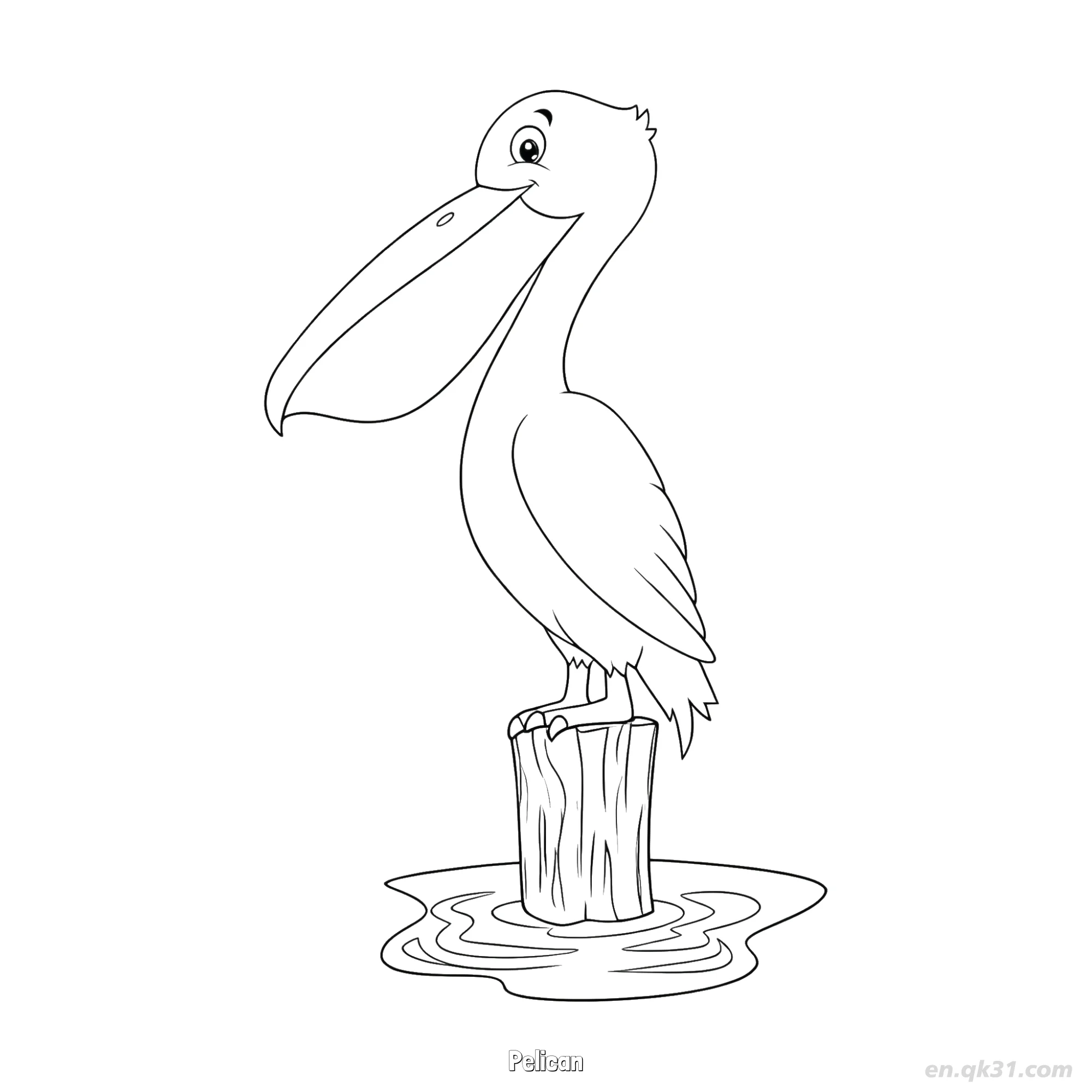 免费 水中柱上鹈鹕涂色页 简笔画涂色页