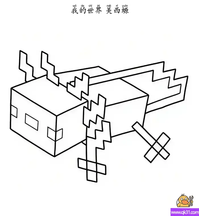 免费 美西螈  Axolotl 我的世界 简笔画涂色页