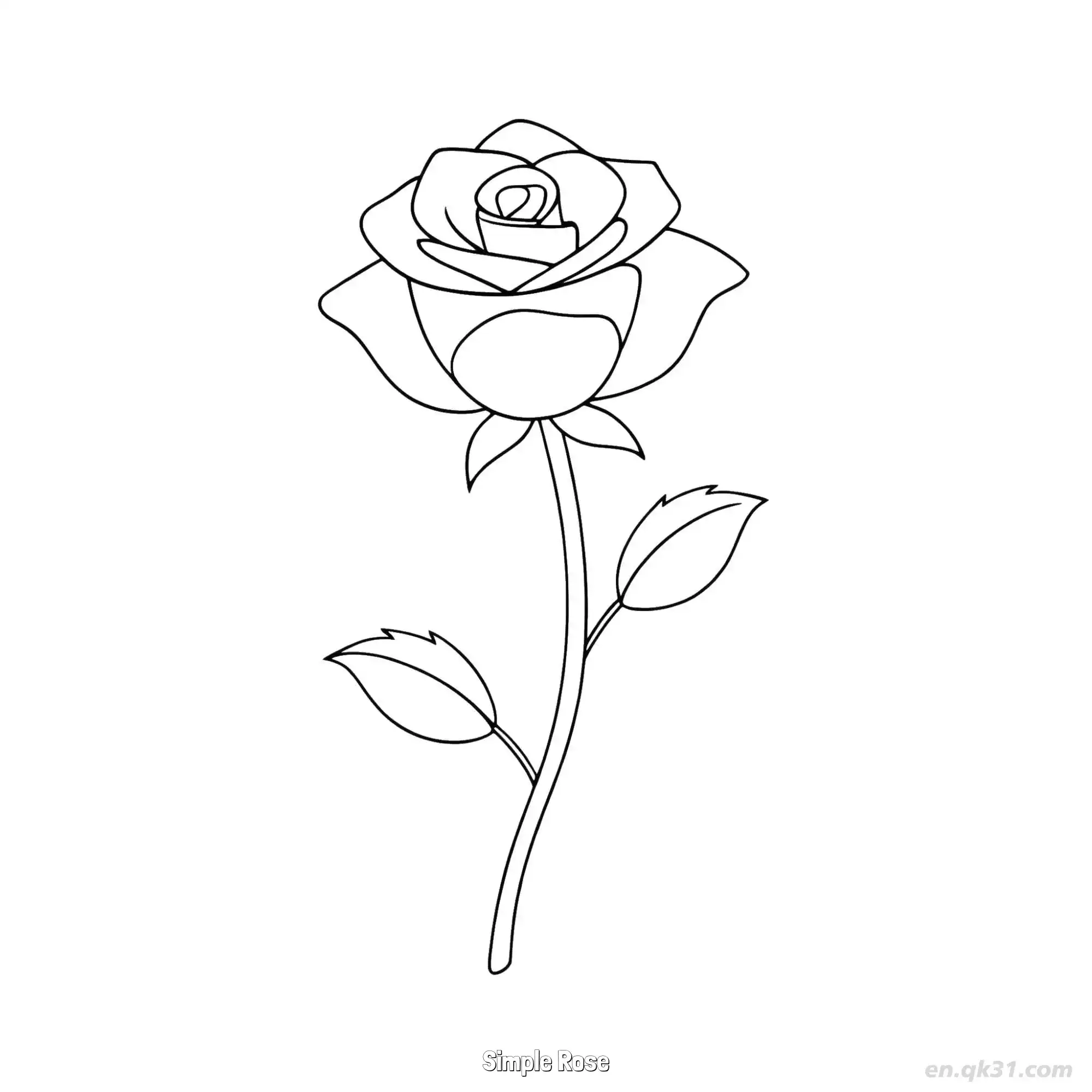 免费 简单玫瑰 简笔画 素描 涂鸦 - 免费可打印 玫瑰花简笔画 下载PDF 简笔画涂色页