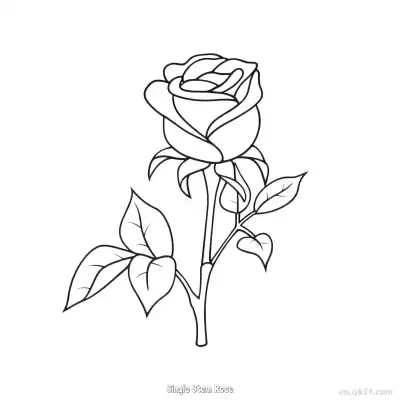 单枝玫瑰 简笔画 素描 涂鸦 - 免费可打印 玫瑰花简笔画 下载PDF – 免费可打印简笔画涂色画