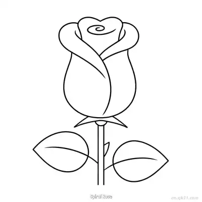 螺旋玫瑰 简笔画 素描 涂鸦 - 免费可打印 玫瑰花简笔画 下载PDF – 免费可打印简笔画涂色画
