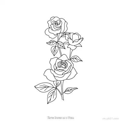 茎上的三朵玫瑰 简笔画 素描 涂鸦 - 免费可打印 玫瑰花简笔画 下载PDF – 免费可打印简笔画涂色画