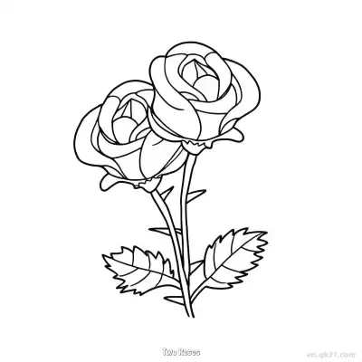 两朵玫瑰 简笔画 素描 涂鸦 - 免费可打印 玫瑰花简笔画 下载PDF – 免费可打印简笔画涂色画