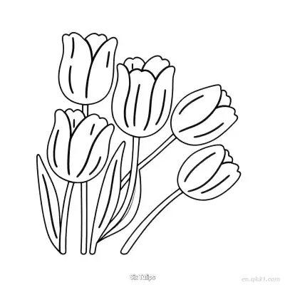 六朵郁金香 简笔画 素描 涂鸦 - 免费可打印 郁金香简笔画 下载PDF – 免费可打印简笔画涂色画