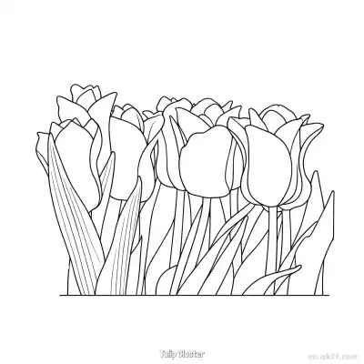 郁金香花簇 简笔画 素描 涂鸦 - 免费可打印 郁金香简笔画 下载PDF – 免费可打印简笔画涂色画
