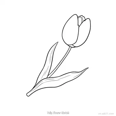 郁金香花朵素描 简笔画 素描 涂鸦 - 免费可打印 郁金香简笔画 下载PDF – 免费可打印简笔画涂色画