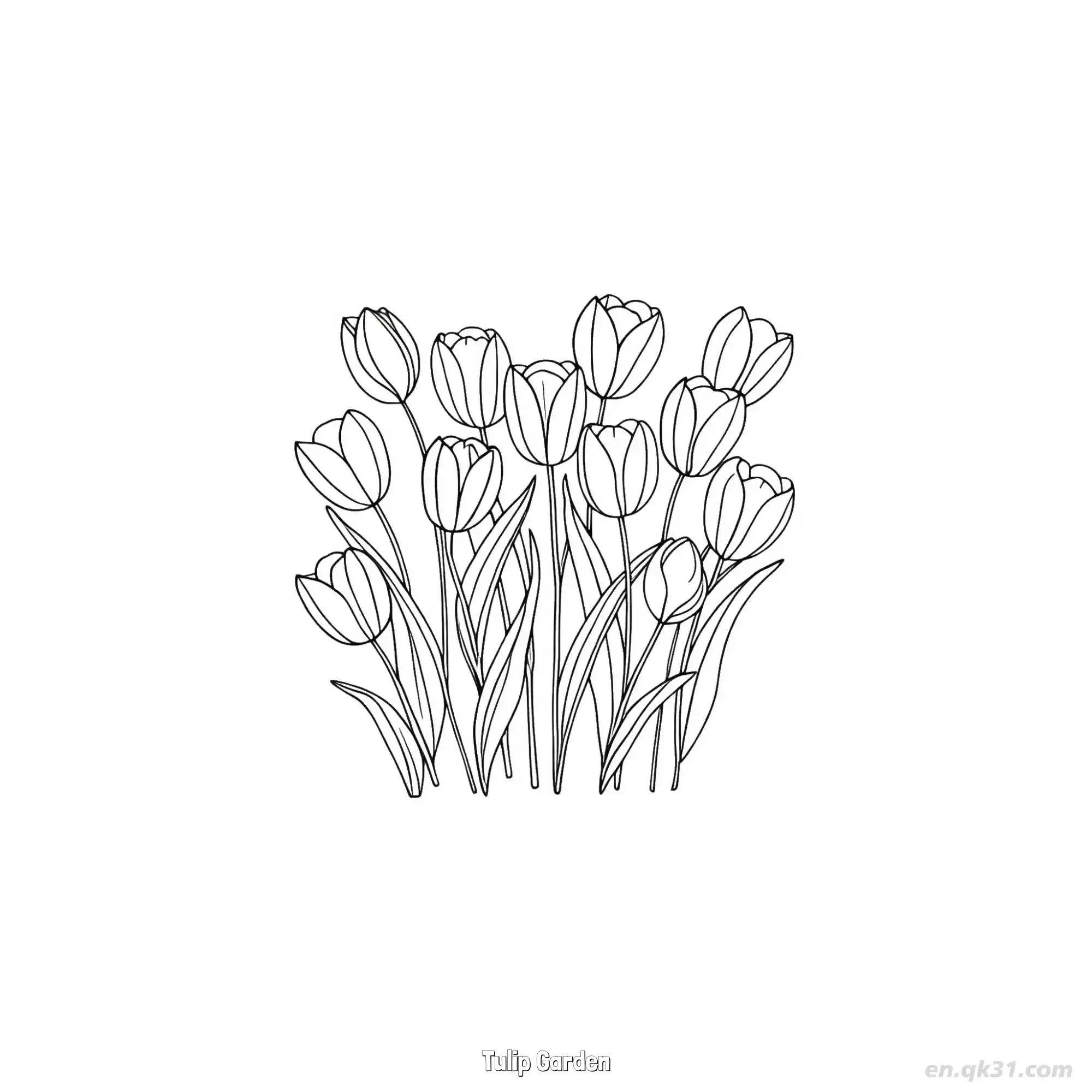 免费 郁金香花园 简笔画 素描 涂鸦 - 免费可打印 郁金香简笔画 下载PDF 简笔画涂色页