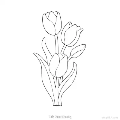 郁金香茎干画 简笔画 素描 涂鸦 - 免费可打印 郁金香简笔画 下载PDF – 免费可打印简笔画涂色画