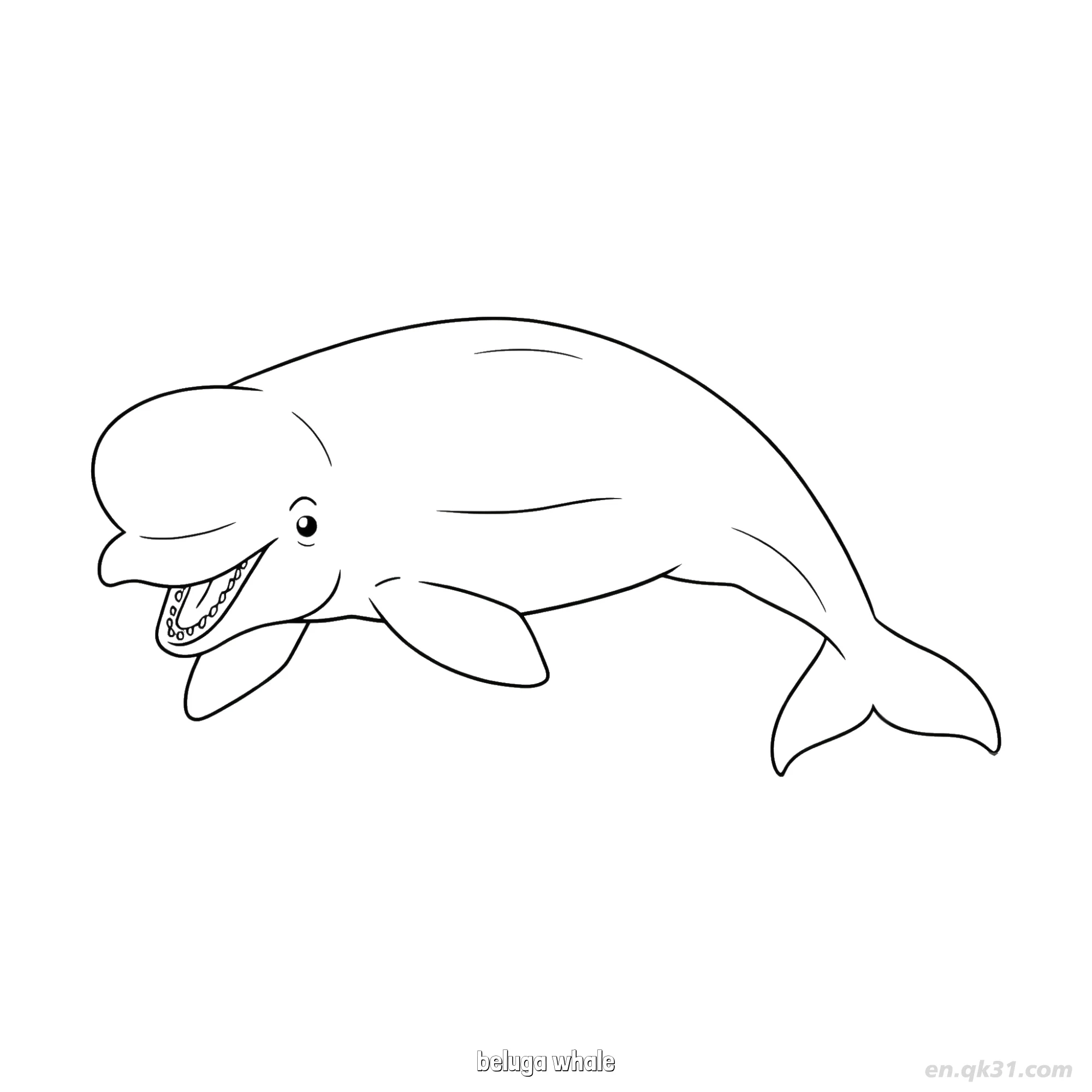 免费 微笑白鲸涂色页  简笔画涂色页