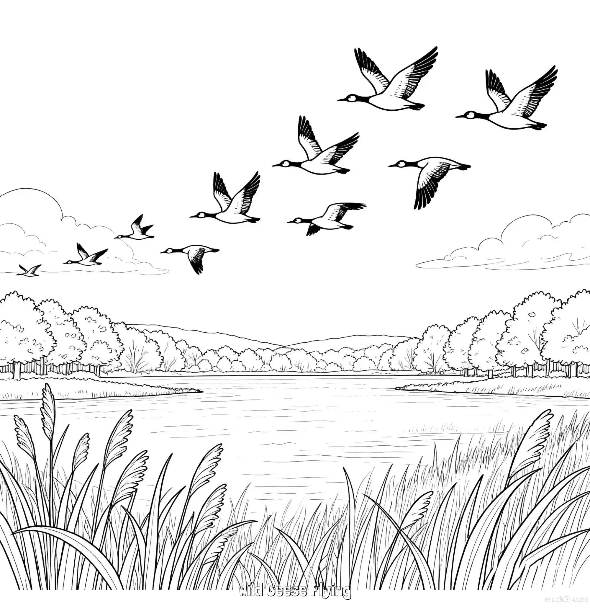 飞翔的野鹅 简笔画 素描 涂鸦 - 免费可打印秋季 下载PDF简笔画涂色画 – 为儿童和成人提供的免费可打印简笔画涂色画