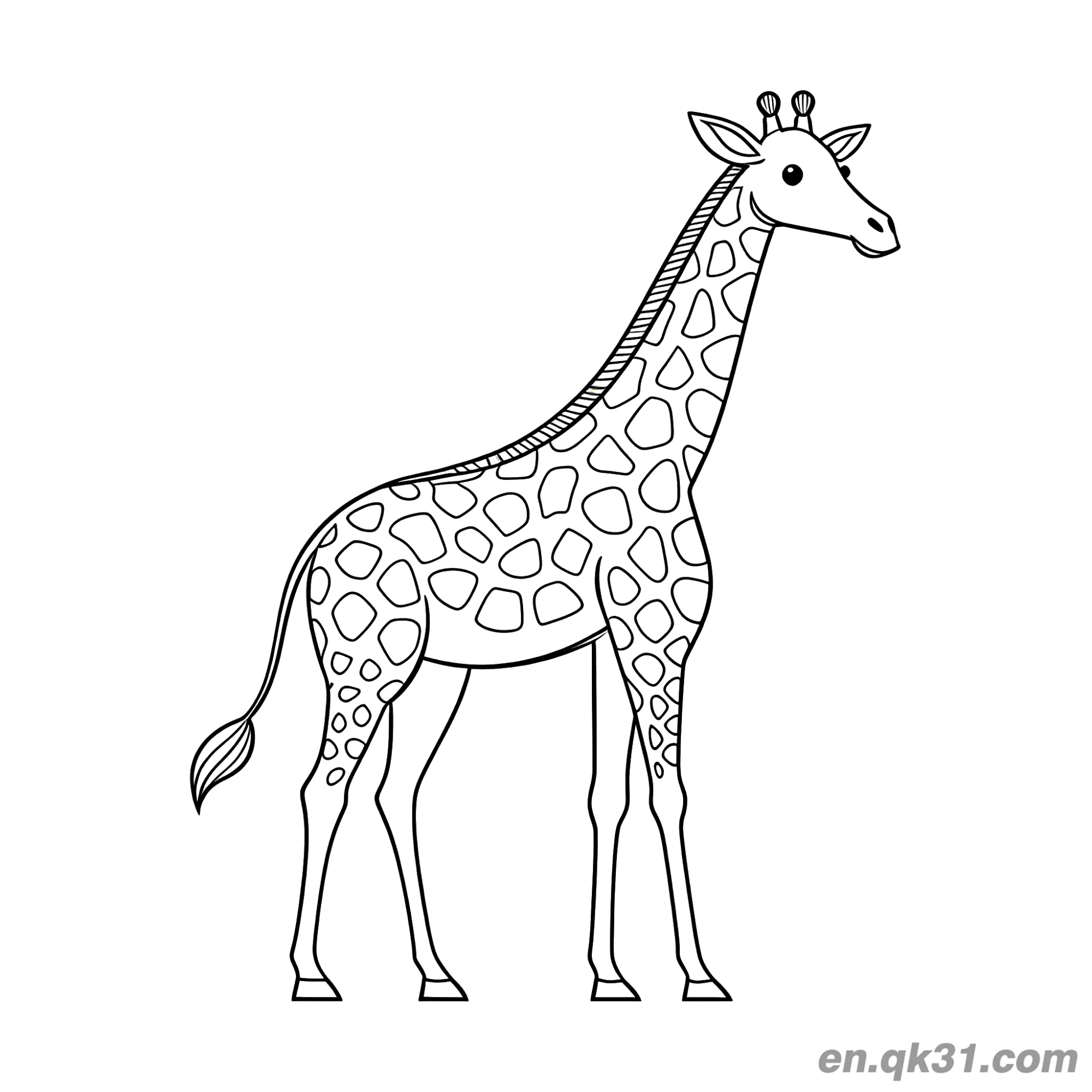 免费 逼真斑点长颈鹿简笔画涂色页 简笔画涂色页