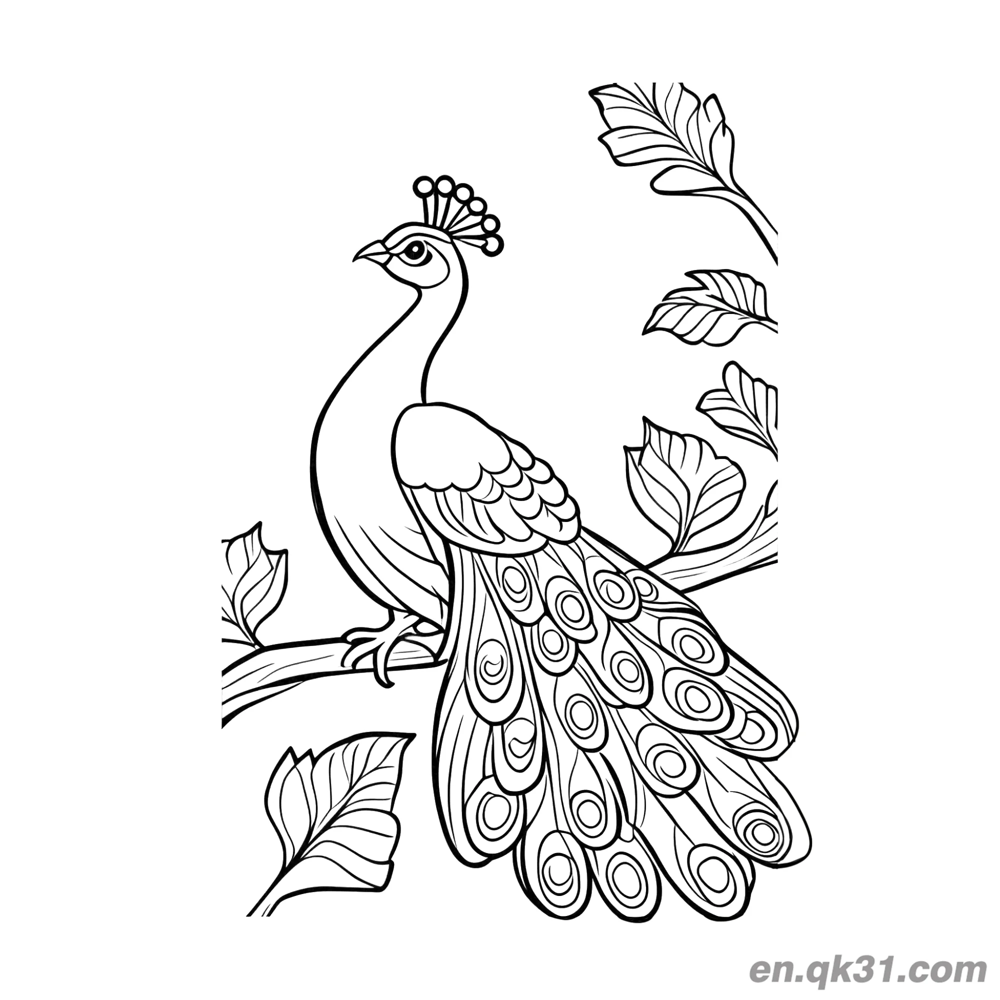 免费 卡通孔雀栖息在树叶树枝间涂色页 简笔画涂色页