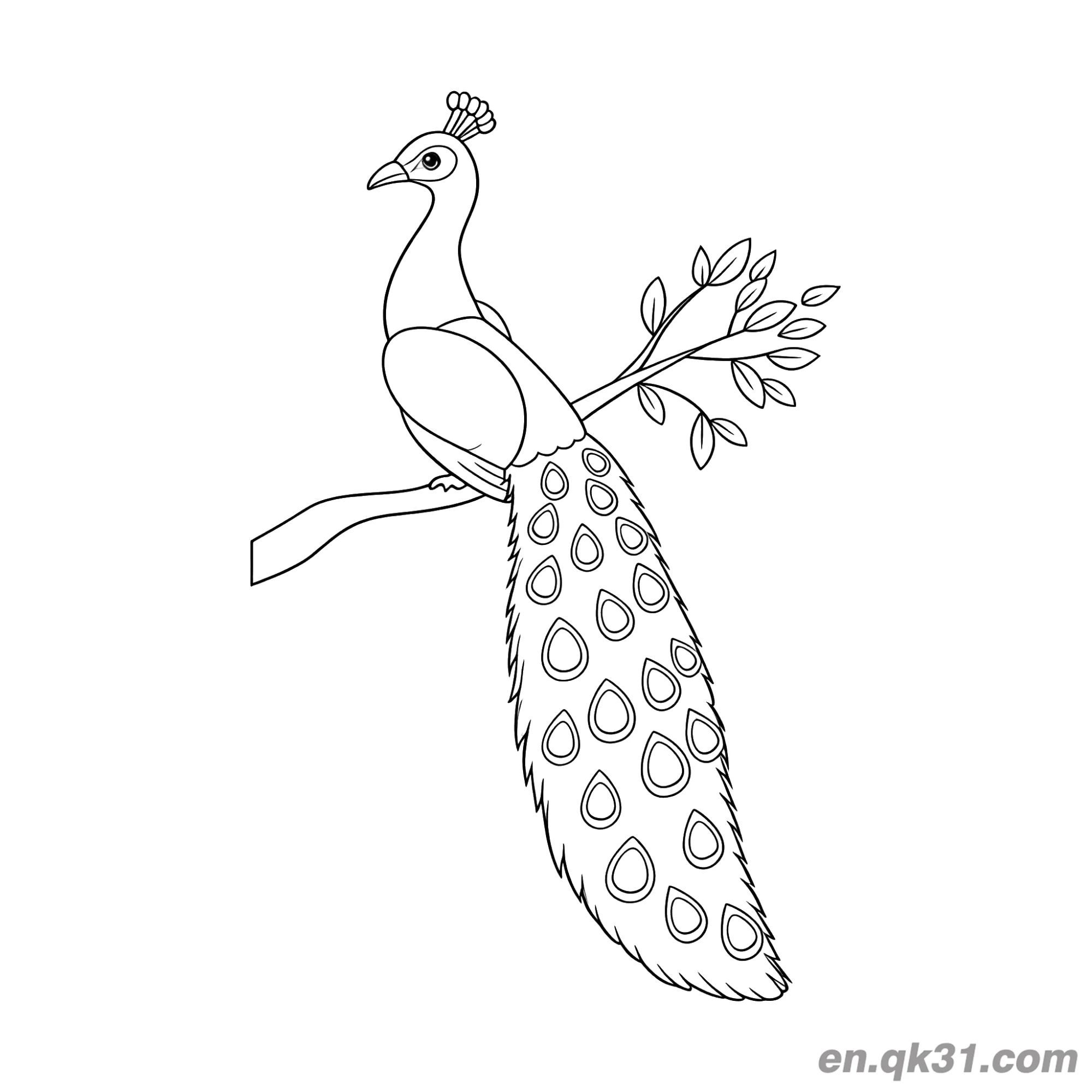 免费 卡通孔雀栖息在树枝上长尾涂色页 简笔画涂色页