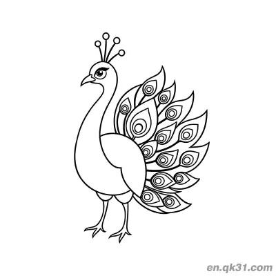 卡通孔雀详细眼斑图案涂色页 – 免费可打印简笔画涂色画