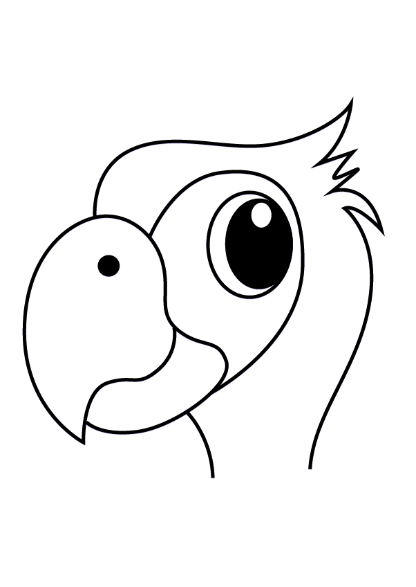/uploads/image/2021/05/08/How to Draw a Parrot Face for Kids4.png