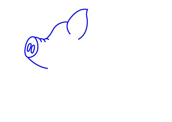/uploads/image/2021/05/26/How to Draw a Cartoon Pig2.jpg