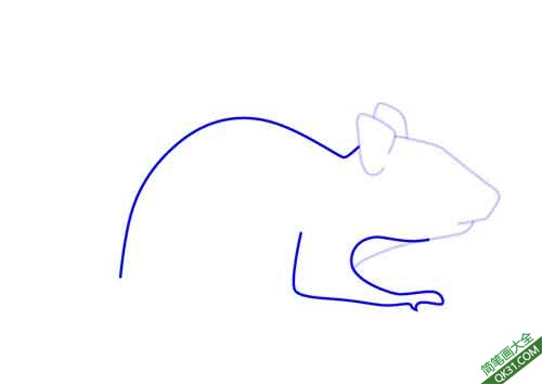 /uploads/image/2021/06/17/How-to-Draw-a-Cartoon-Chipmunk3.jpg