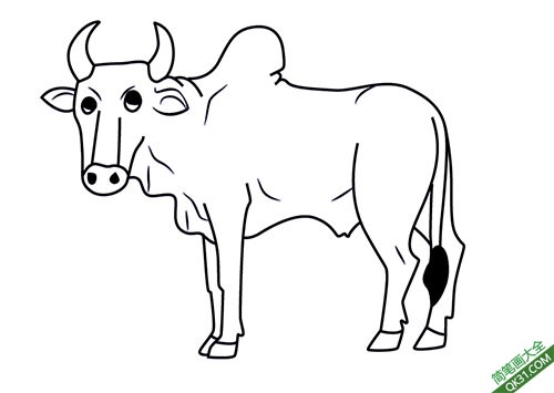 /uploads/image/2021/06/28/How-to-Draw-a-Cartoon-Zebu7.jpg