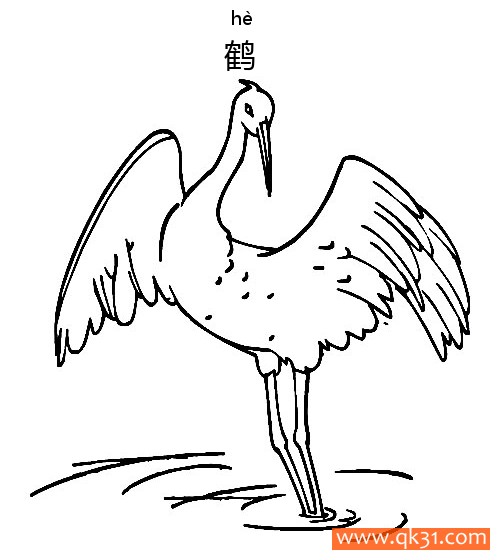 鹤-crane|简笔画图片大全|素描|涂鸦|涂颜色