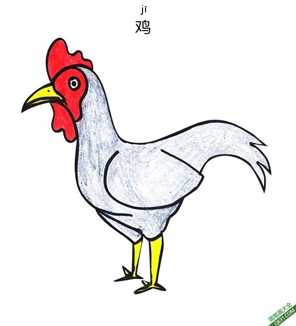 怎样教孩子们一步步画一个 卡通鸡Chicken|简笔画|素描|涂鸦|涂颜色