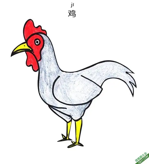 免费 怎样教孩子们一步步画一个 卡通鸡Chicken 简笔画涂色页